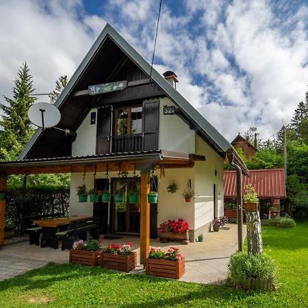 Chalet House Olga Crni Lug Extérieur photo